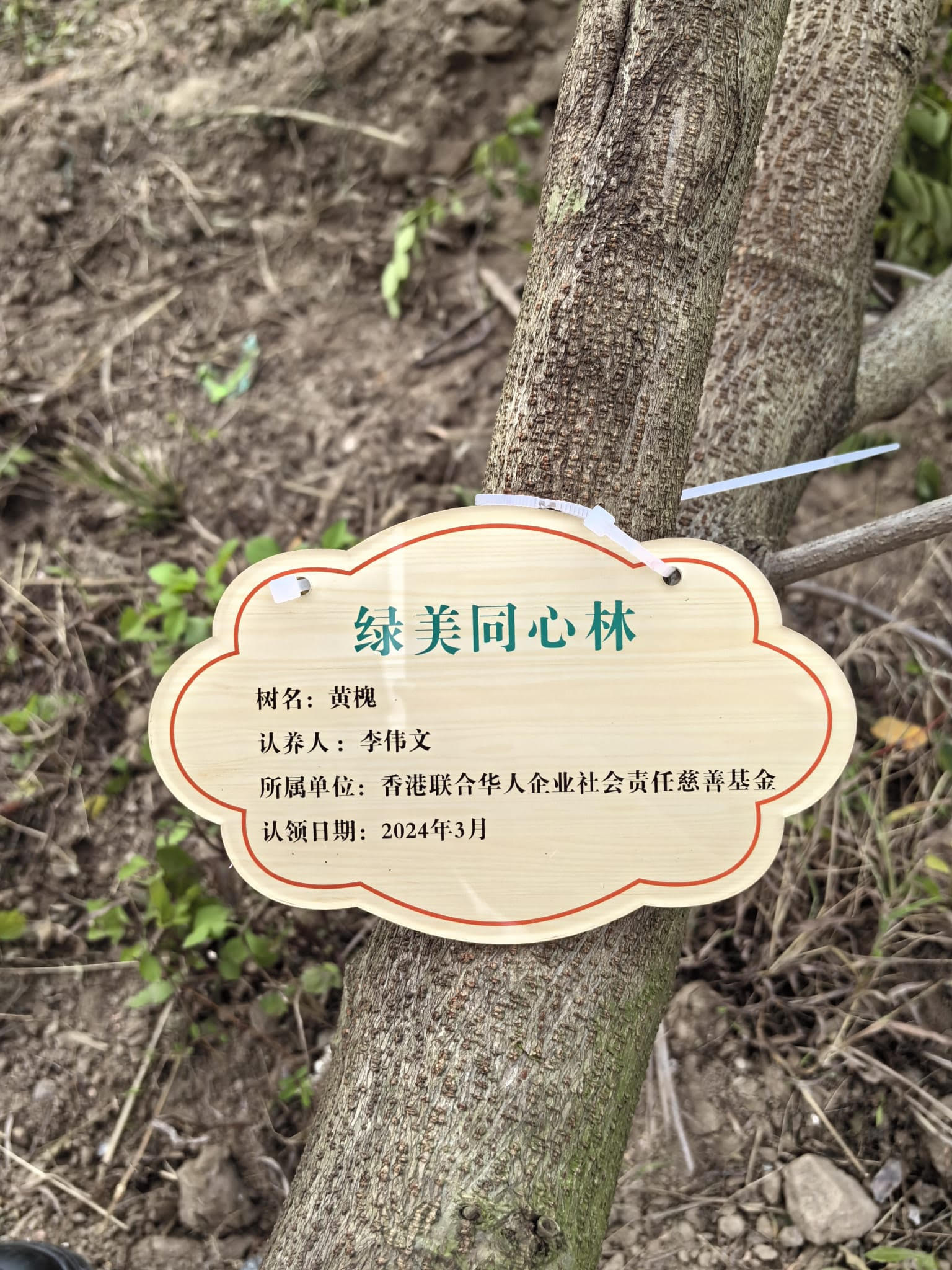 UCESR 聯合華人企業社會責任慈善基金